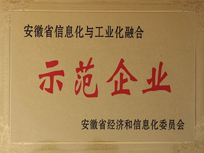 安徽省信息化與工業(yè)化融合示范企業(yè)